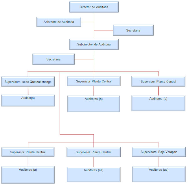 Organigrama de la Dirección de Auditoría Interna