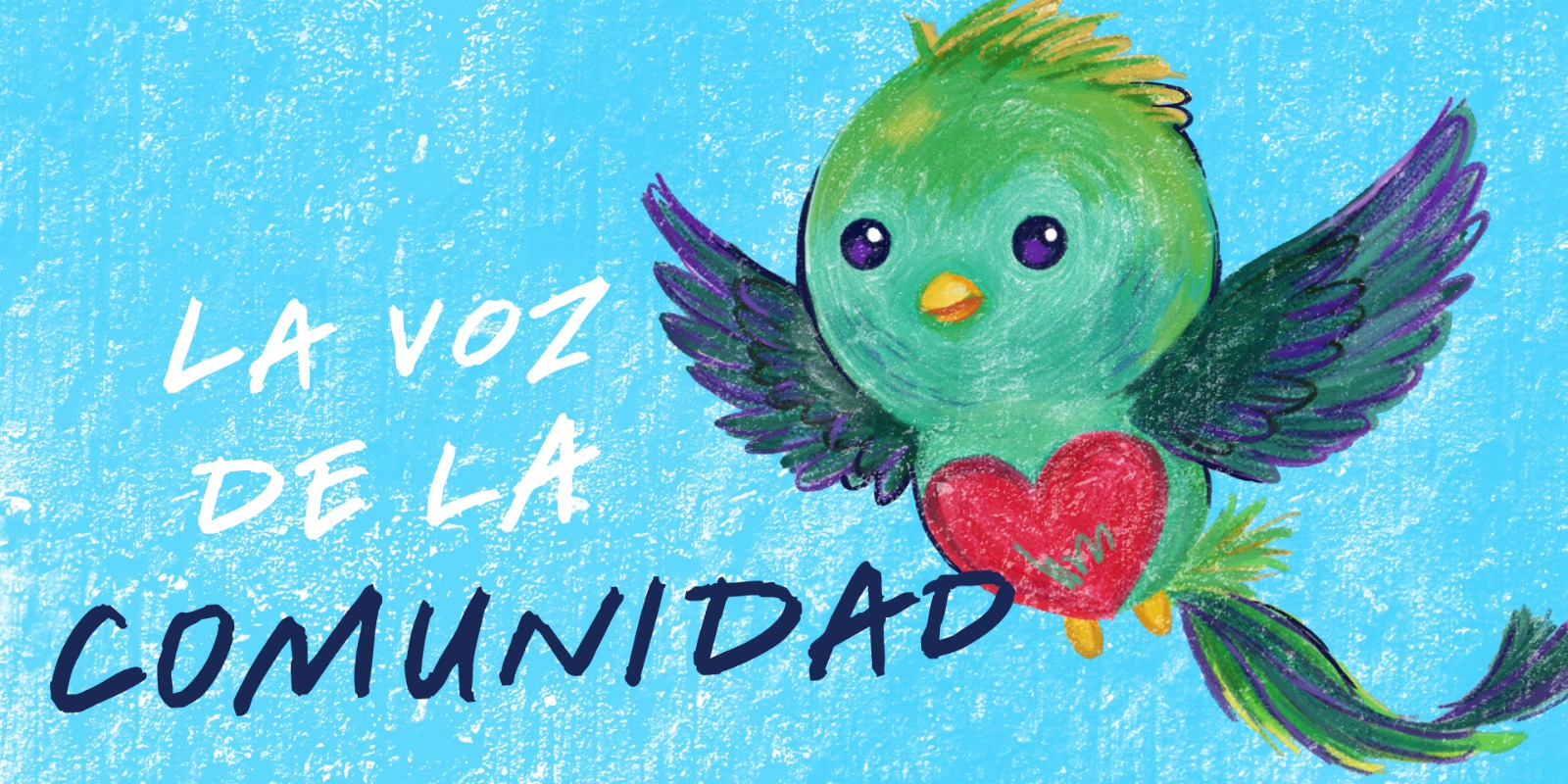 Banner Quetzal