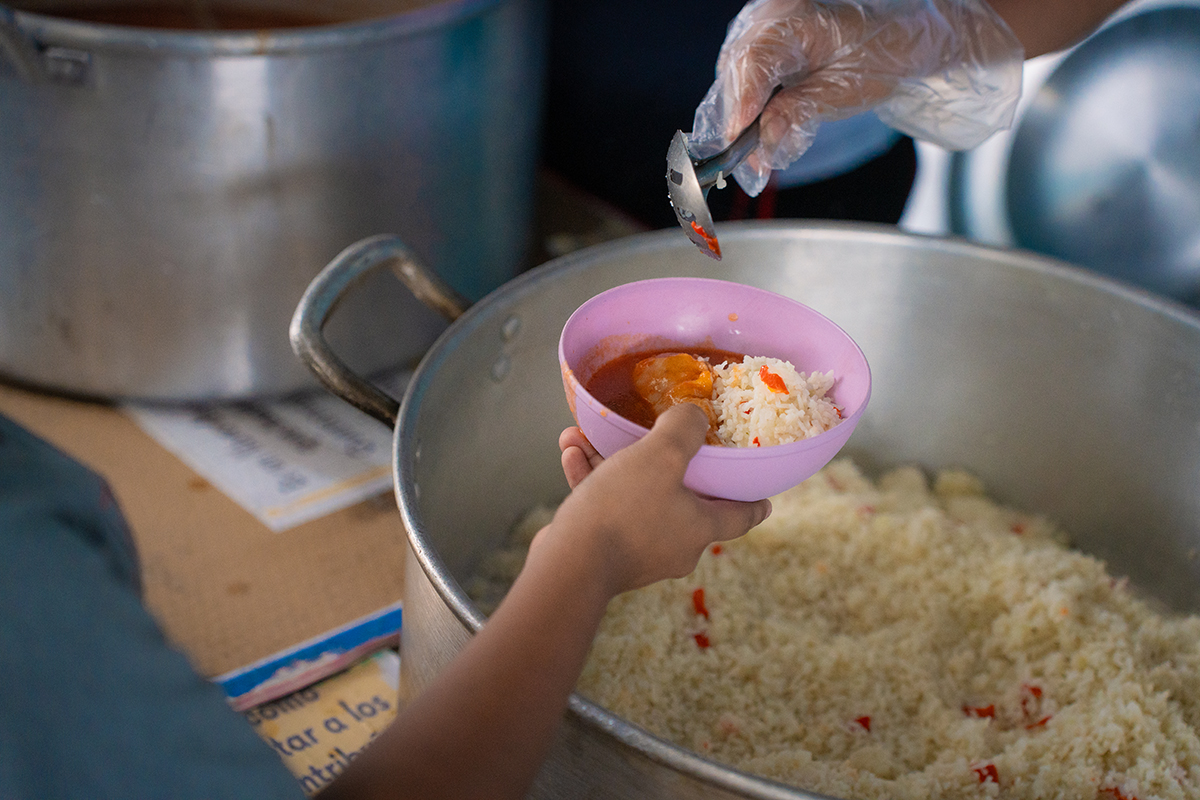 Educación alimentaria y nutricional